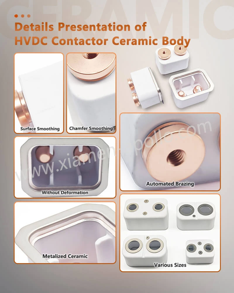 Details Presentation of Metalized Ceramic Alumina Insulator