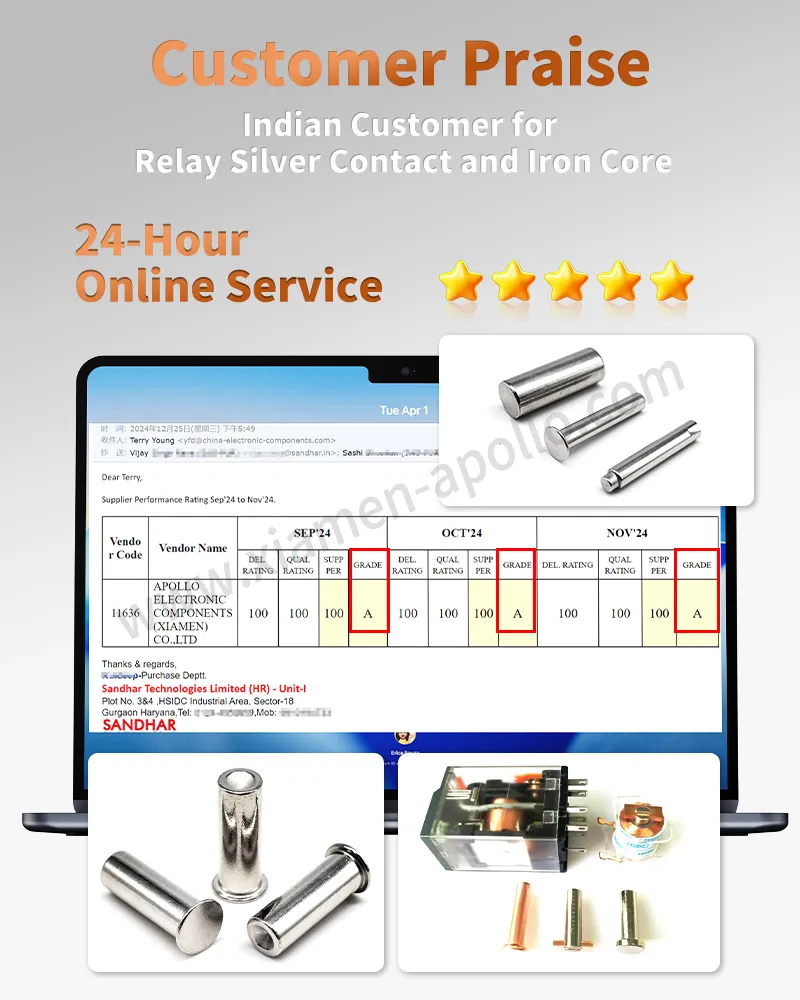 Indian Customer for Relay Silver Contact and lron Core Indian Customer for Relay Silver Contact and lron Core